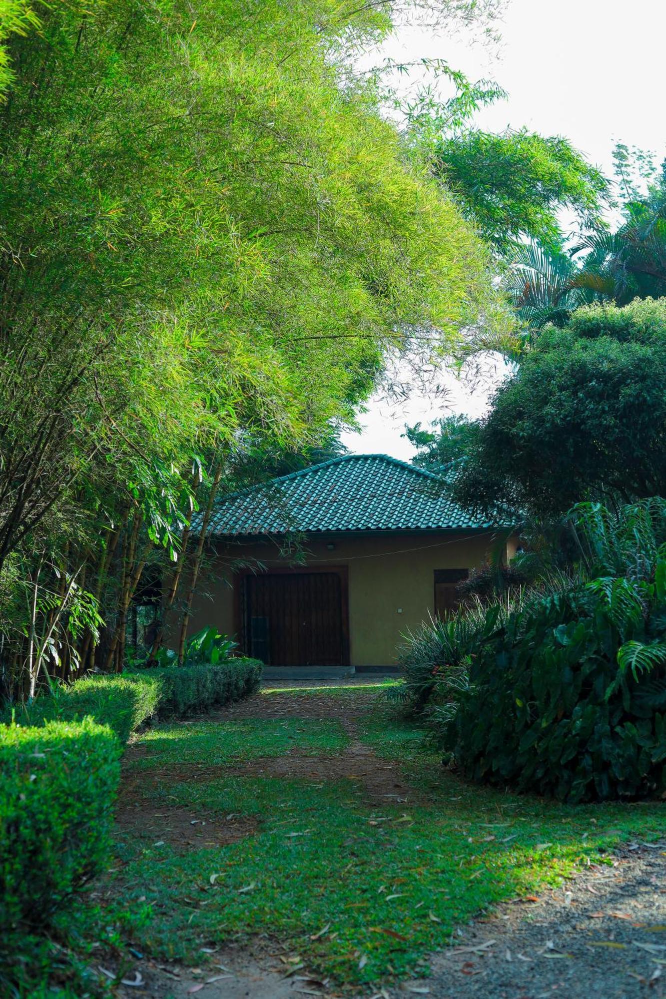 The Secret Garden
