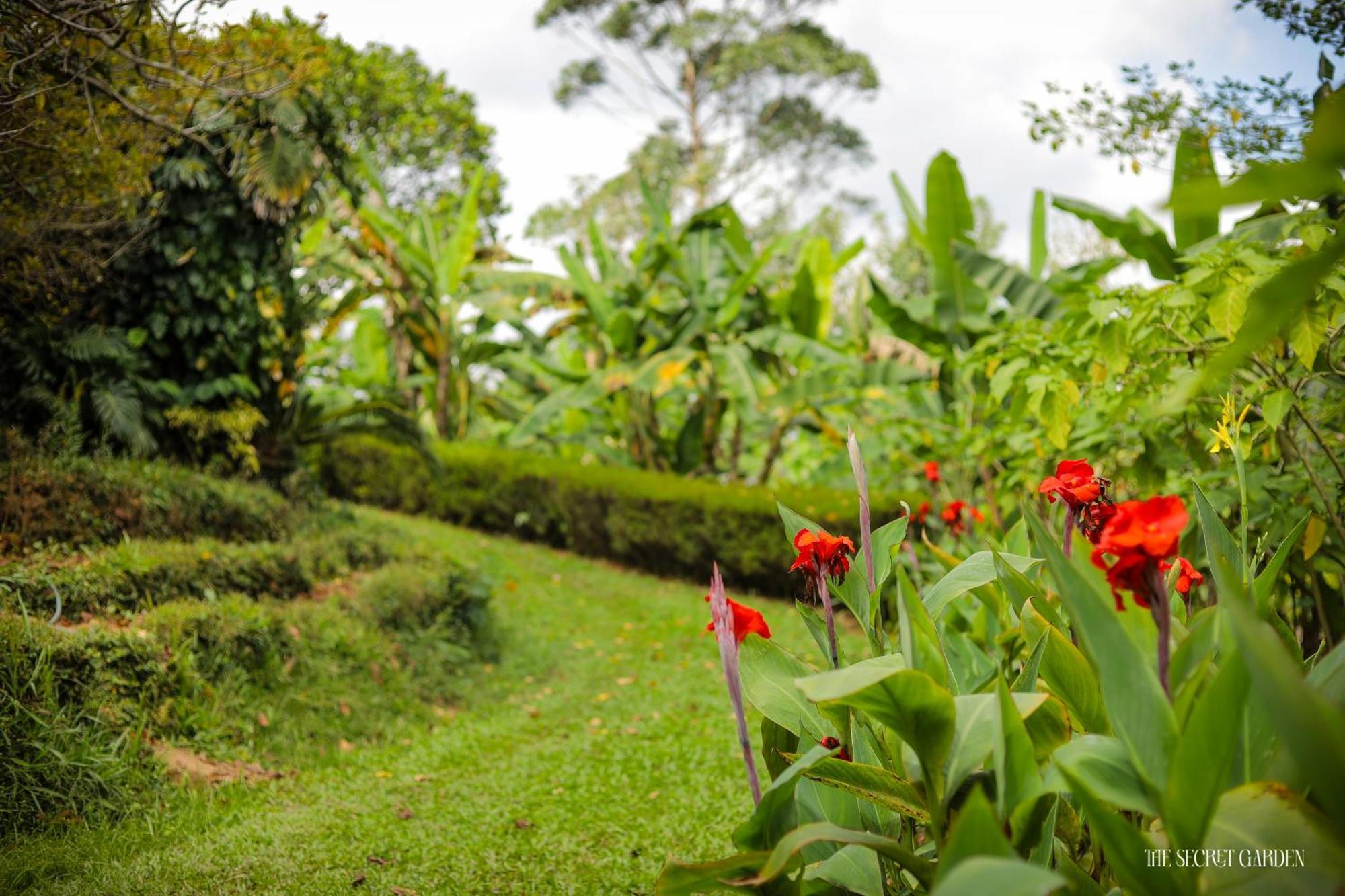 Villa The Secret Garden