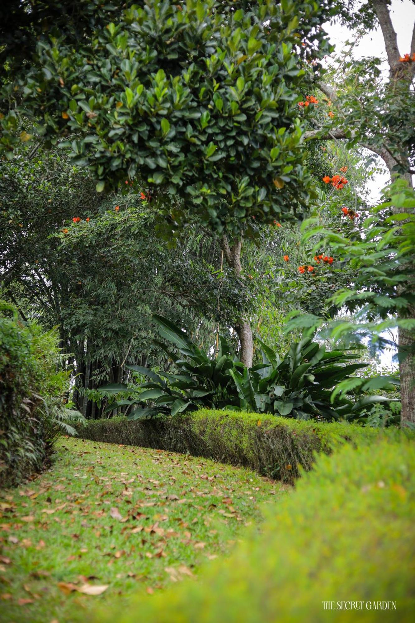 The Secret Garden Bandarawela