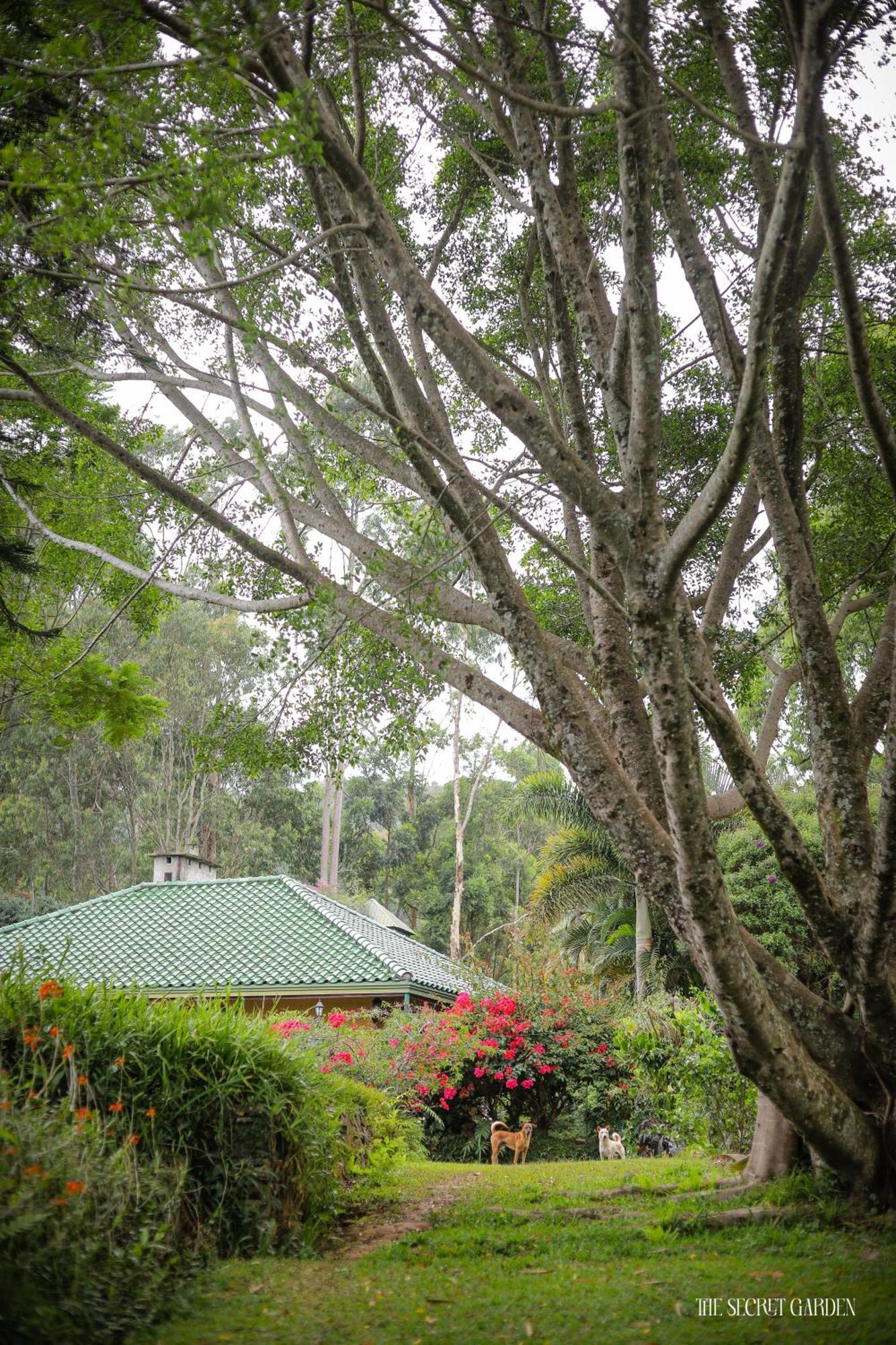 Villa The Secret Garden Bandarawela